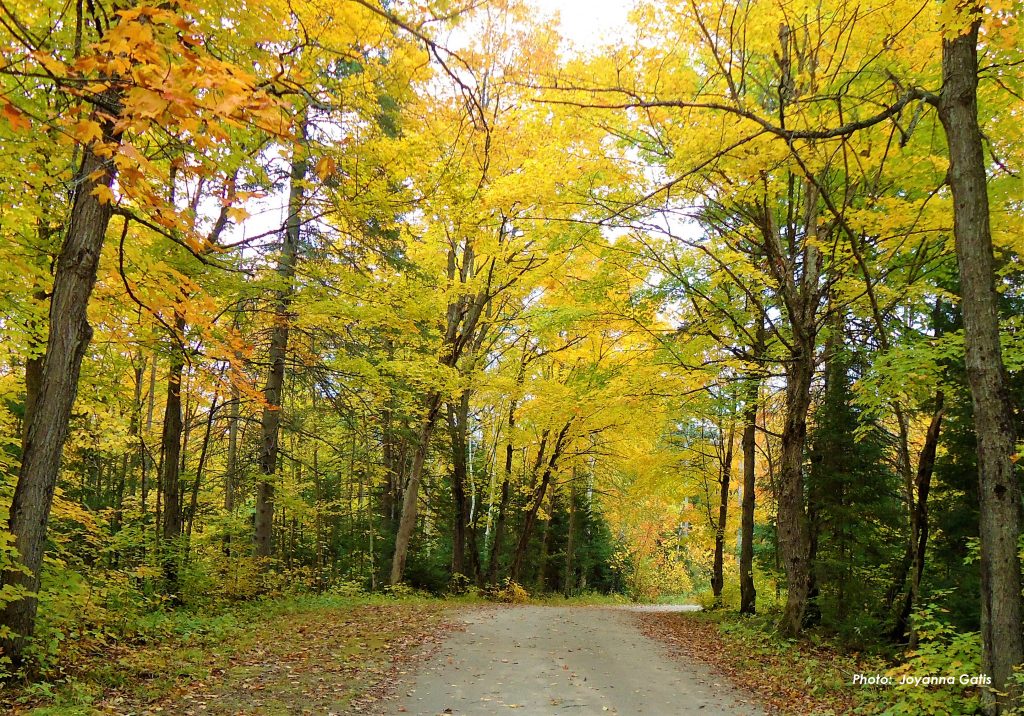 Directions to the Campground | Ontario Teachers' Federation